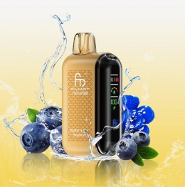 BORÓWKA ICE blueberry on ice FUMOT 20000 PUFFS